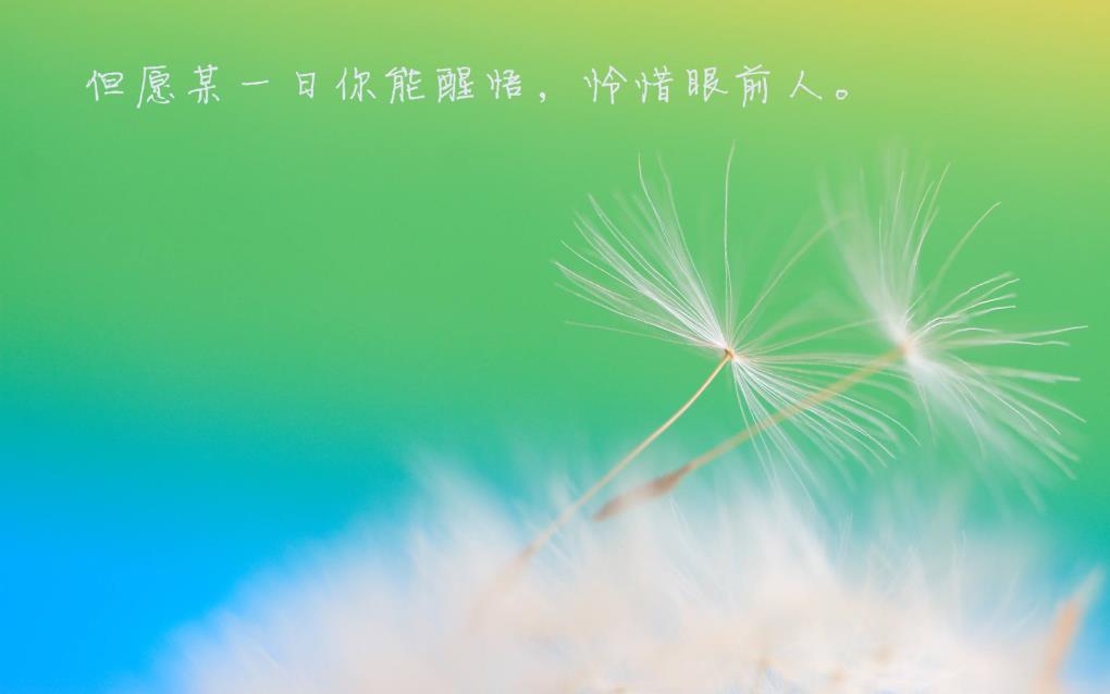 但愿某一日你能醒悟，怜惜眼前人