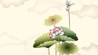 唯美中国风荷叶桌面壁纸
