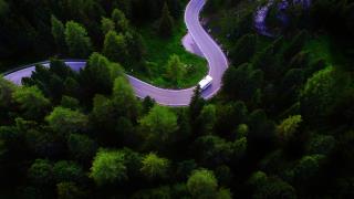 阿尔卑斯山,森林,树木,公路,风景桌面壁纸 