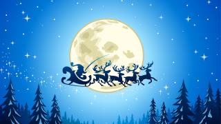 圣诞节桌面壁纸-星星、森林