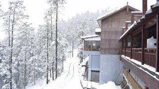 南方的春天-大雪纷飞